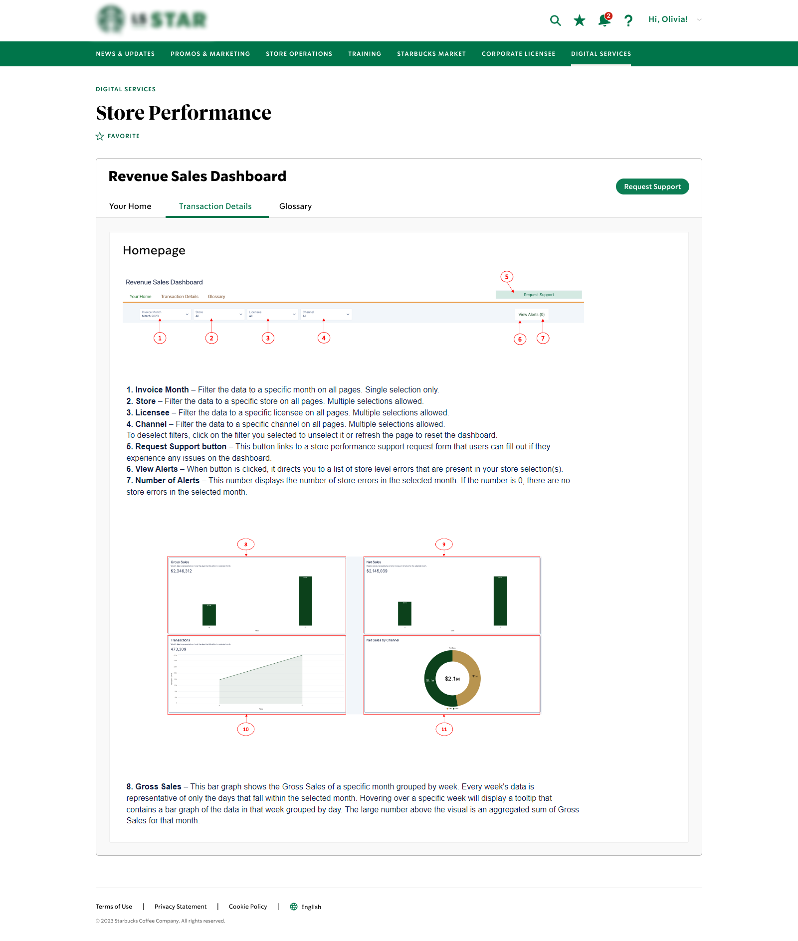 Store performance guidance page explaining dashboard controls and metrics